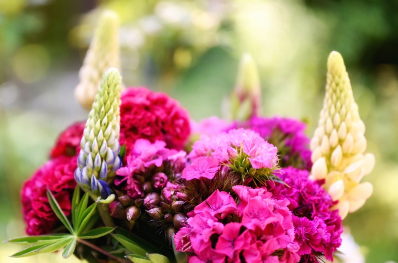 fleuriste-NICE-min_flowers-5369794